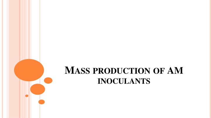 Methods for Mass Production of AM Inoculants