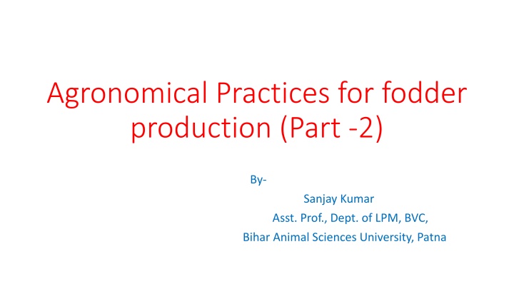 Agronomical Practices for Fodder Production - Part 2