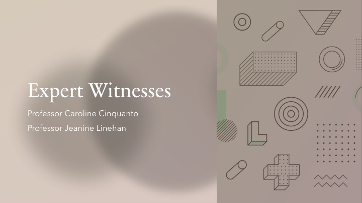 Expert Witness Testimony in Legal Proceedings