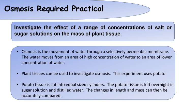 Investigating the Effect of Salt or Sugar Solutions on Plant Tissue Mass through Osmosis