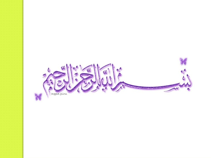 Islamic Perspectives on Environmental Stewardship