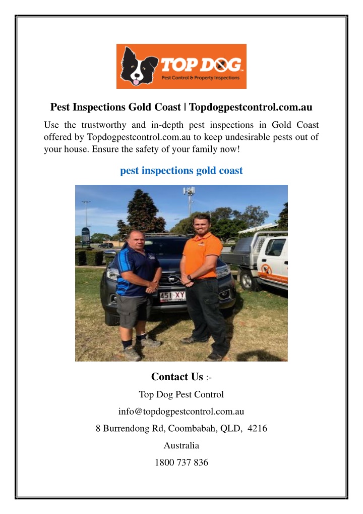 pest inspections gold coast topdogpestcontrol n.w