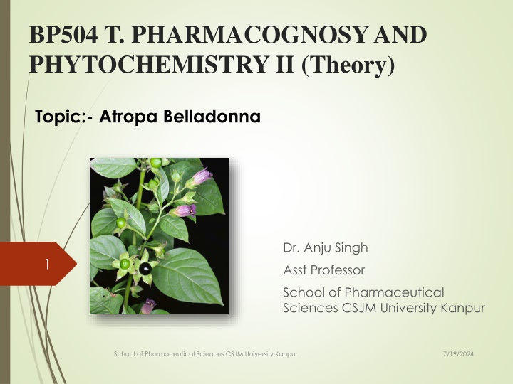 Pharmacognosy and Phytochemistry II: Atropa Belladonna Overview