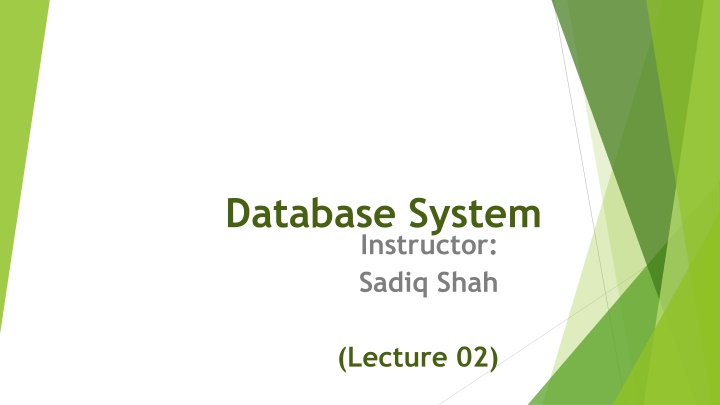 Costs and Risks of Implementing a Database Approach