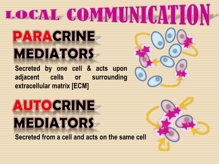 Histamine: Synthesis, Release, and Effects in the Body