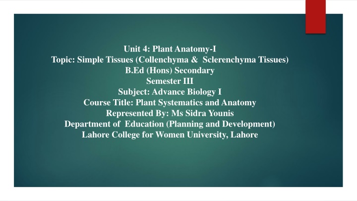 Collenchyma and Sclerenchyma Tissues in Plants