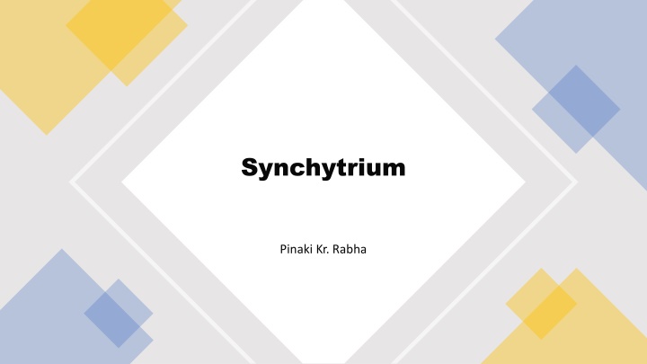 Synchytrium: Causes and Symptoms in Potatoes