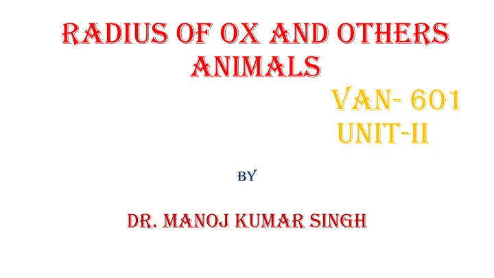 Anatomy of the Ox Radius: Structure and Function