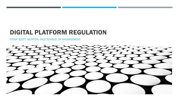 Digital Platform Regulation and Competition Strategies