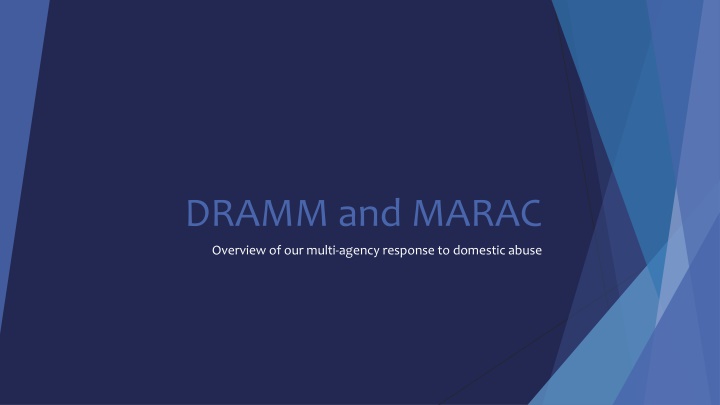 Multi-Agency Response to Domestic Abuse