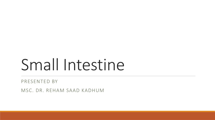The Anatomy of the Small Intestine: Duodenum, Jejunum, and Ilium