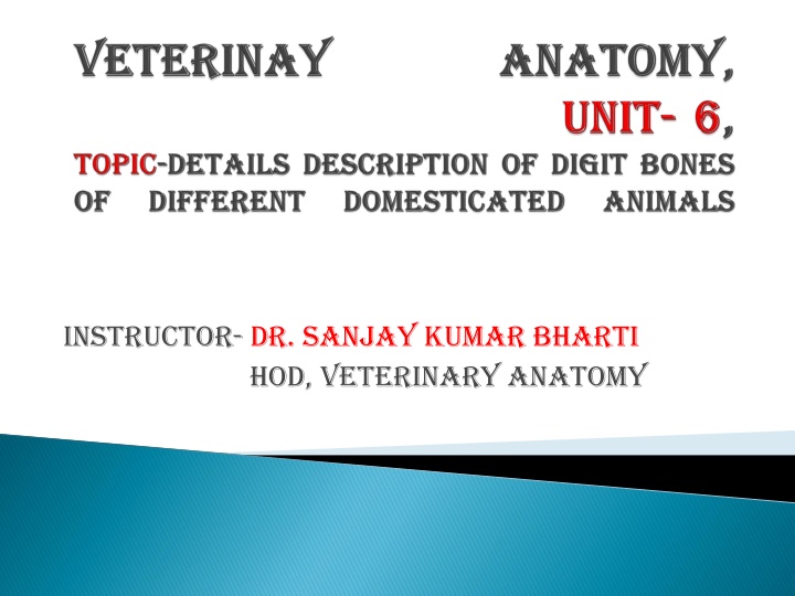 Overview of Veterinary Anatomy: Ox Skeletal Structure