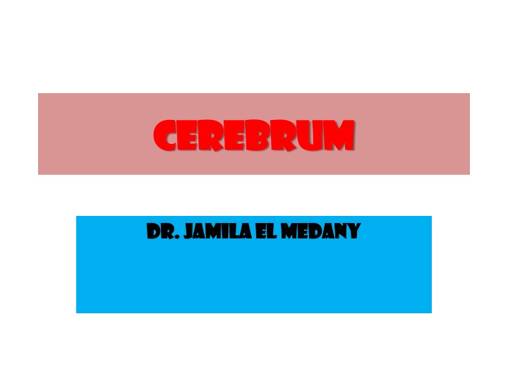 Structure and Function of the Cerebrum