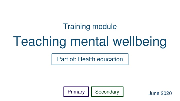 Teaching Mental Wellbeing in Health Education: Training Module Overview
