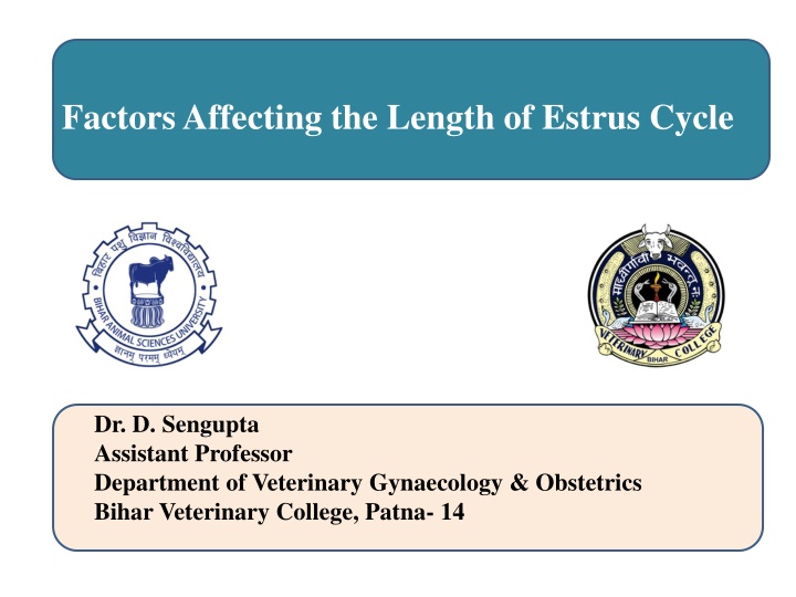 Factors Influencing Estrus Cycle Length in Veterinary Science