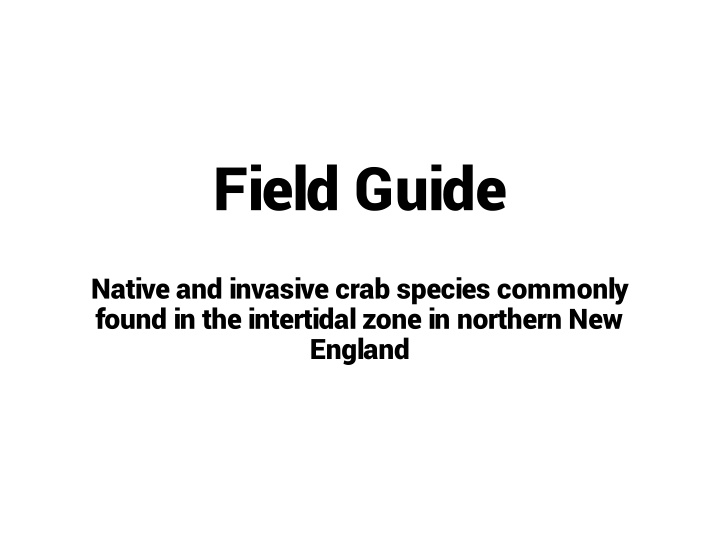 Field Guide to Native and Invasive Crab Species in Northern New England Intertidal Zone