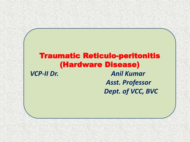 Traumatic Reticuloperitonitis in Cattle