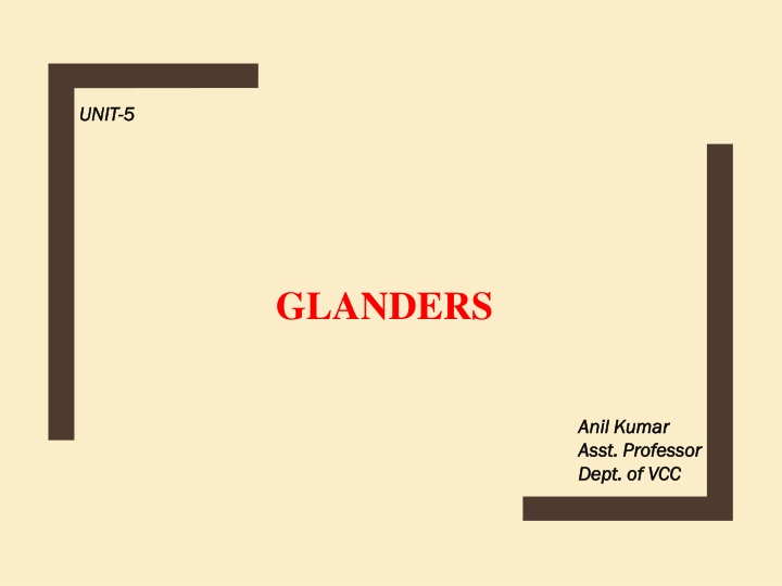 Glanders: Causes, Symptoms, and Transmission