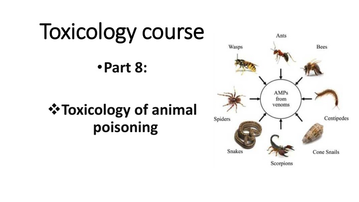 Animal Venom and Snake Classification in Toxicology