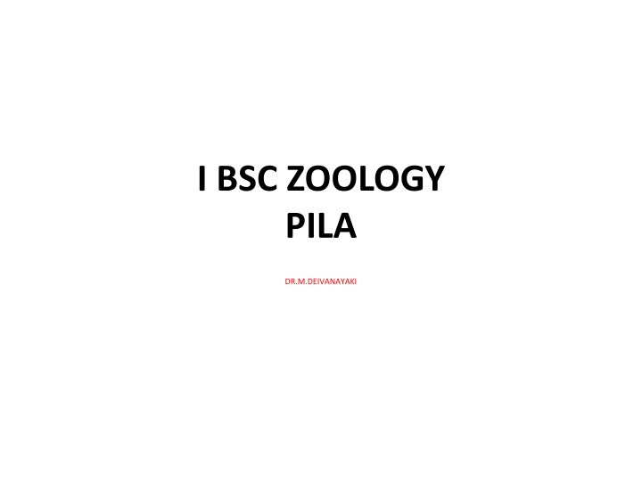Anatomy and Behavior of Pila Globosa in Zoology