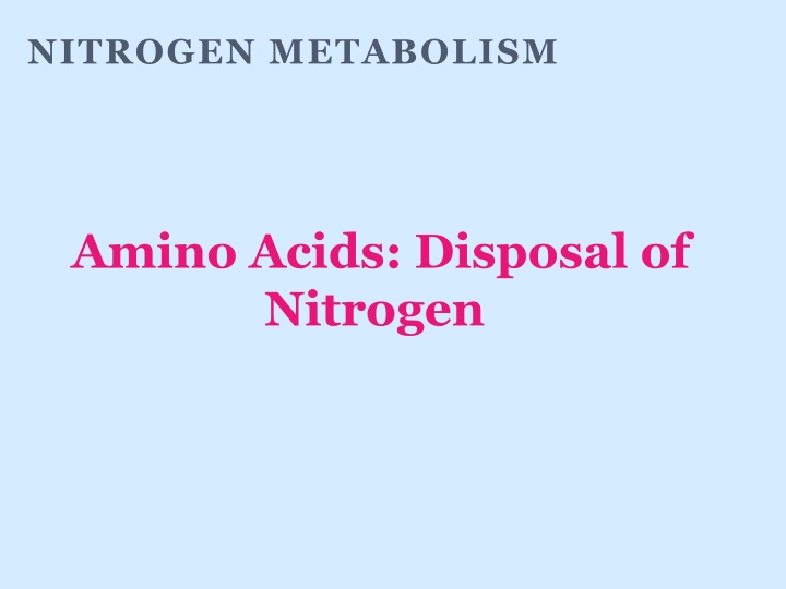nitrogen metabolism n.