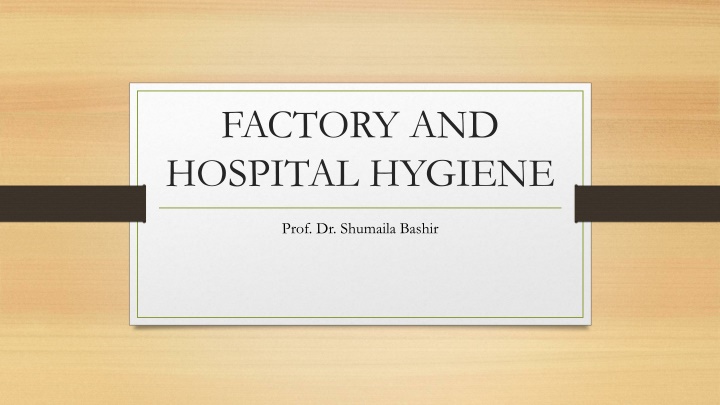 Guidelines for Maintaining Hygiene in Manufacturing Environments