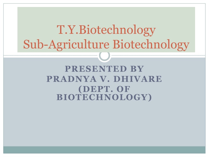 Nitrogen Fixation and Symbiotic Relationship in Agriculture