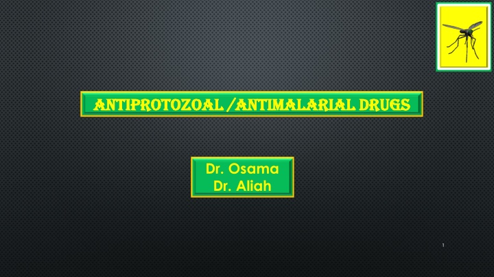Antimalarial Drugs and Malaria Transmission