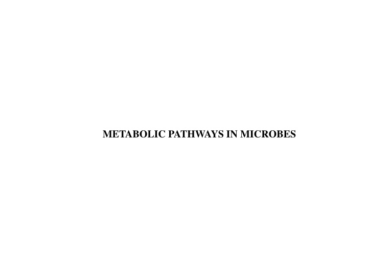 Metabolic Pathways in Microbes