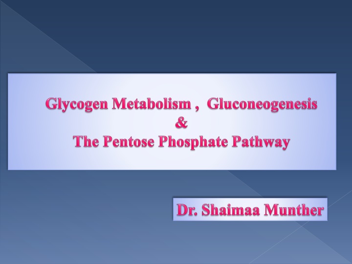 The Importance of Glycogen in Providing a Constant Source of Blood Glucose