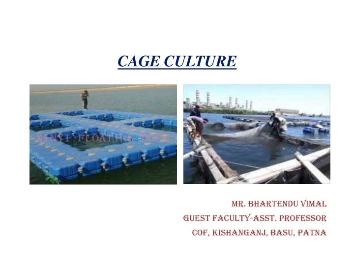 Cage Culture in Aquaculture