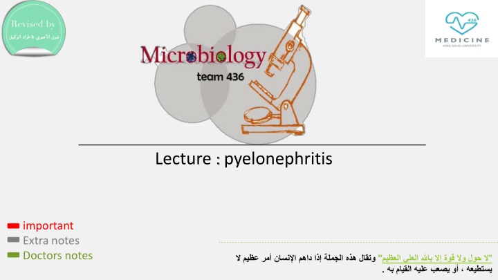 Pyelonephritis: Key Insights and Management