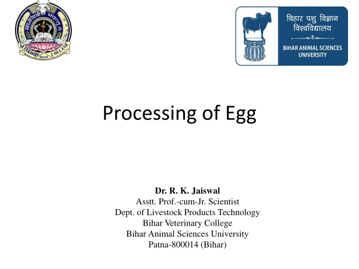 Overview of Egg Processing and Functional Properties