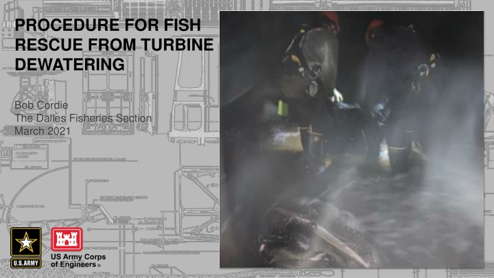 Guide to Fish Rescue from Turbine Dewatering Process