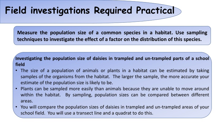 Population Size Investigation of Daisies in School Field