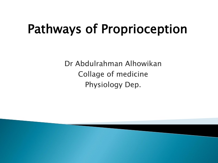 Proprioception Pathways in Physiology