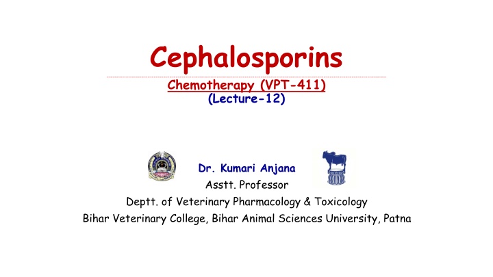 Overview of Cephalosporins in Veterinary Pharmacology