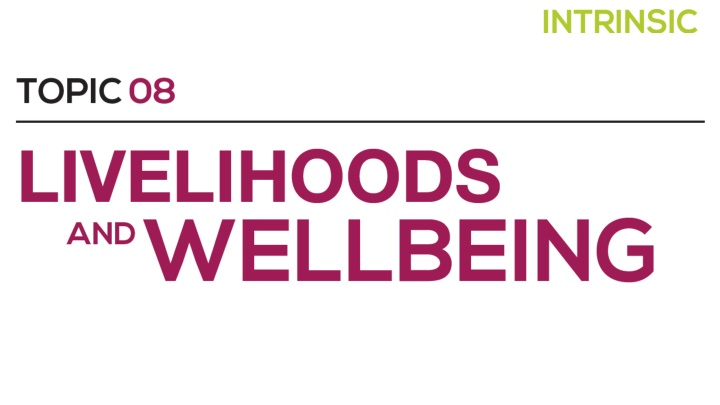 Livelihoods and Wellbeing: A Sustainable Approach