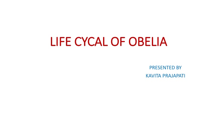 The Life Cycle of Obelia: A Detailed Exploration by Kavita Prajapati