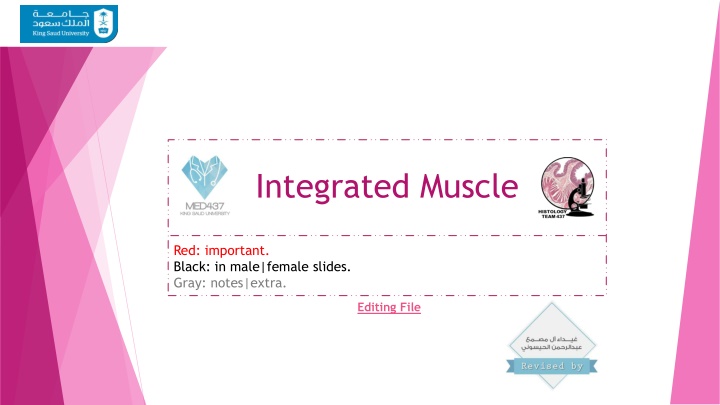 The Histological Structure of Muscle Cells