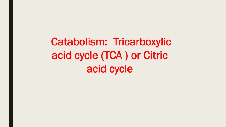 Overview of Cellular Respiration Pathways and ATP Generation