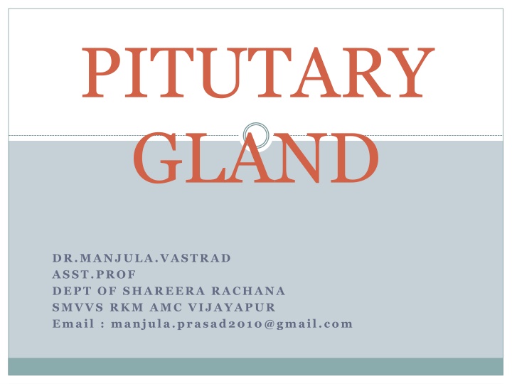Overview of Pituitary Gland: Structure, Function, and Relationships
