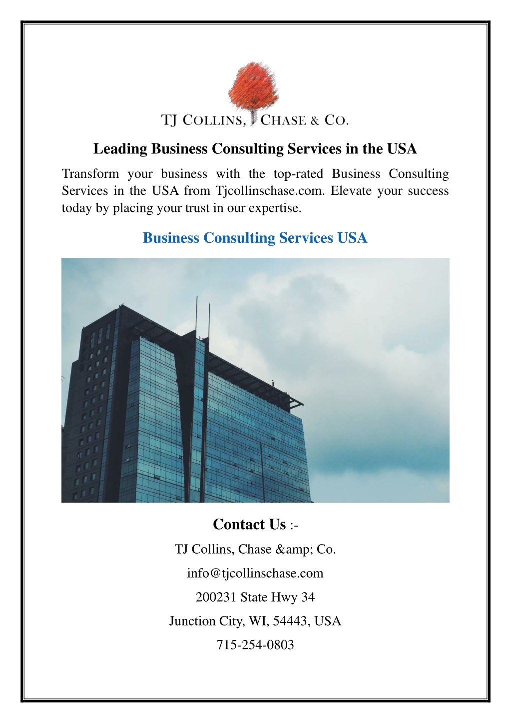 leading business consulting services in the usa l.w