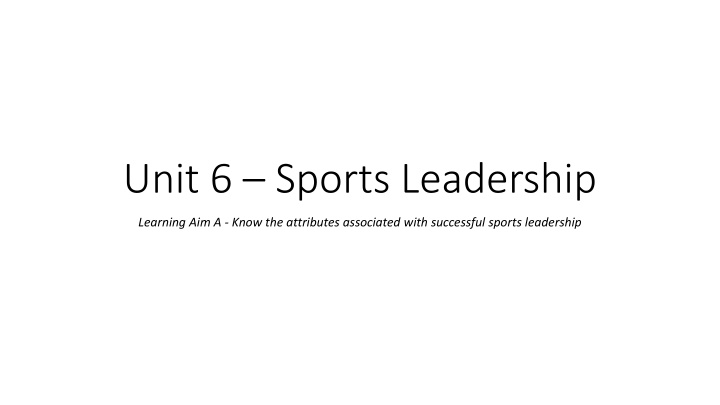 Attributes of Successful Sports Leadership
