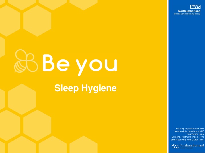 Importance of Sleep Hygiene for Overall Well-being