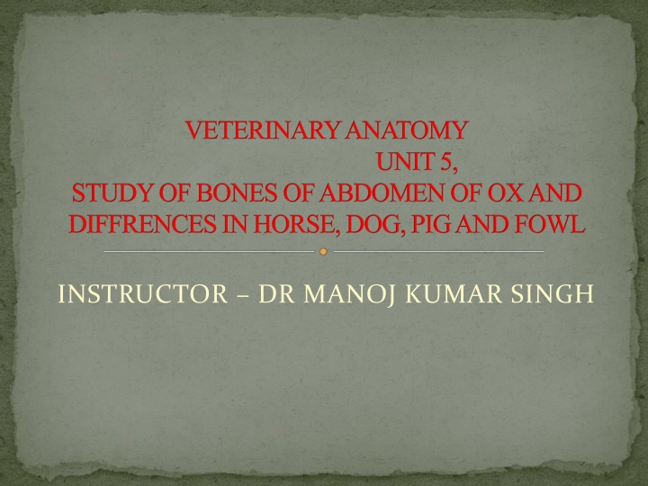 Comparative Study of Abdominal Bones in Various Animals