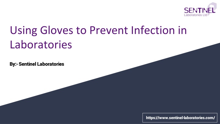 Using Gloves to Prevent Infection in Laboratories || Sentinel Laboratories