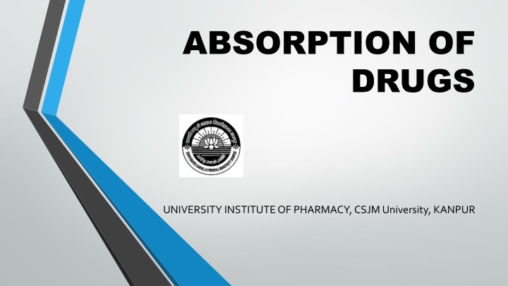 Drug Absorption Mechanisms in Pharmacy Studies