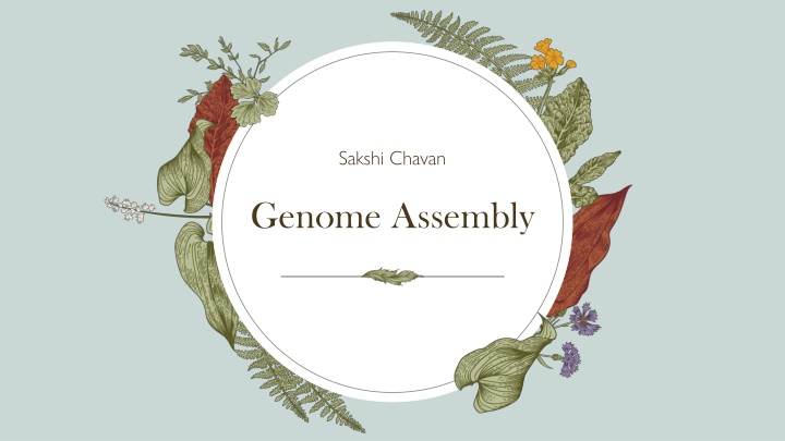 Genome Assembly