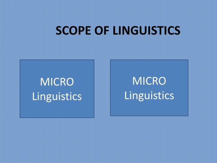 Overview of Micro and Macro Linguistics